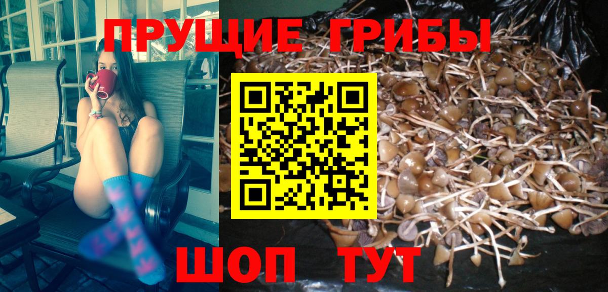 Псилоцибиновые грибы Psilocybe  Галлюциногенные грибы Cubensis  Вход с VPN  Кинешма 