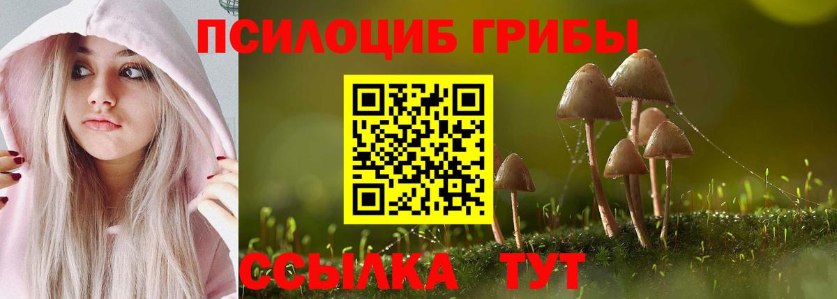 Псилоцибиновые грибы ЛСД Кинешма